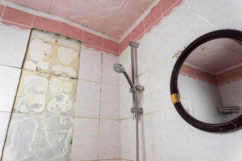 Top Shower Remodeling Companies in Palm Harbor, FL