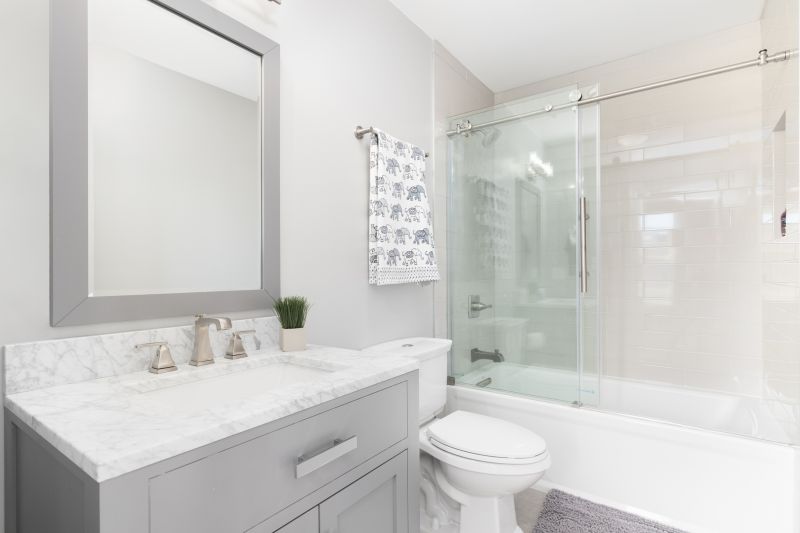 Top Tub To Shower Conversion Companies in Dunedin, FL